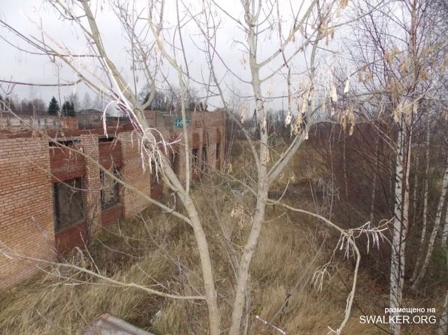 Заброшенный пионерлагерь Березка, Московская область Заброшенный пионерлагерь Березка, Московская область