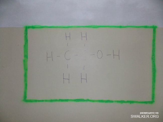 Заброшенный пионерлагерь Березка, Московская область Заброшенный пионерлагерь Березка, Московская область