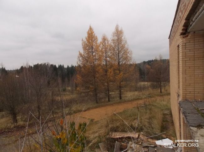 Заброшенный пионерлагерь Березка, Московская область Заброшенный пионерлагерь Березка, Московская область