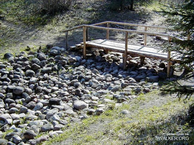 Магический лес Покайне, Латвия