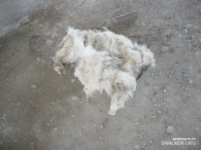 Заброшенный завод фильтров, Энгельс