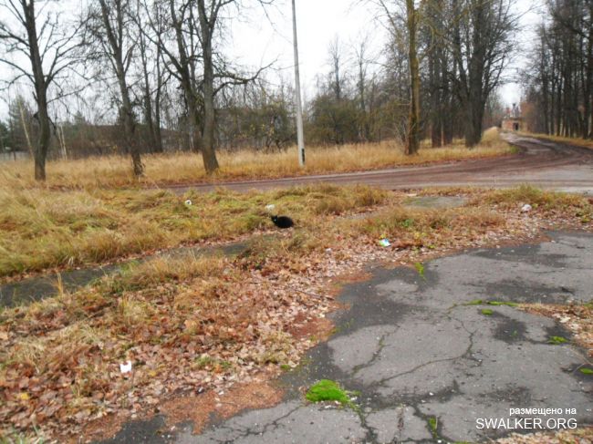 Усадьба Bewert-Swehthof, Латвия