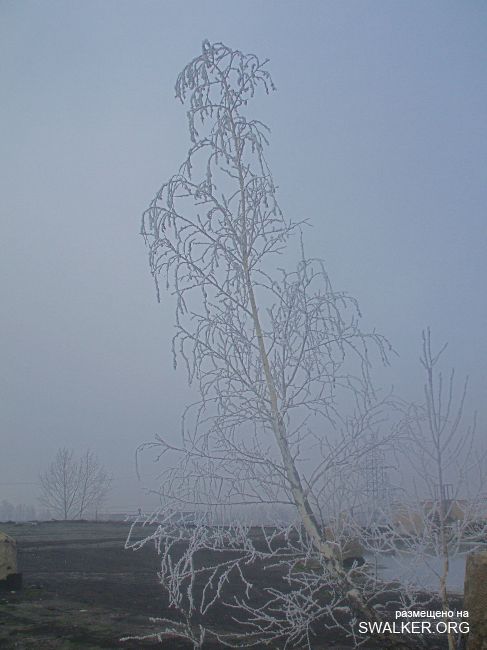 Белая Бельковская