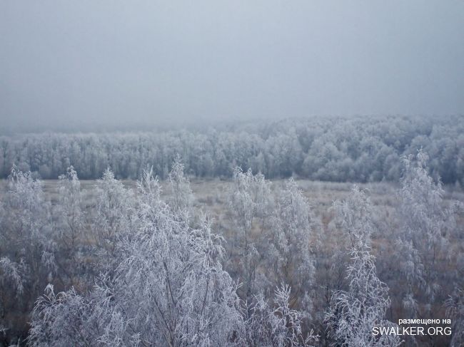 Белая Бельковская