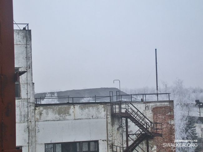 Белая Бельковская