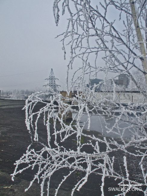 Белая Бельковская