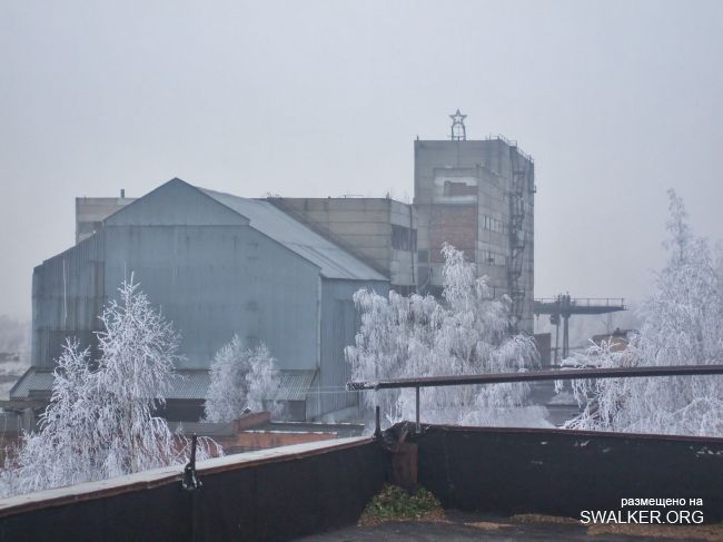 Белая Бельковская