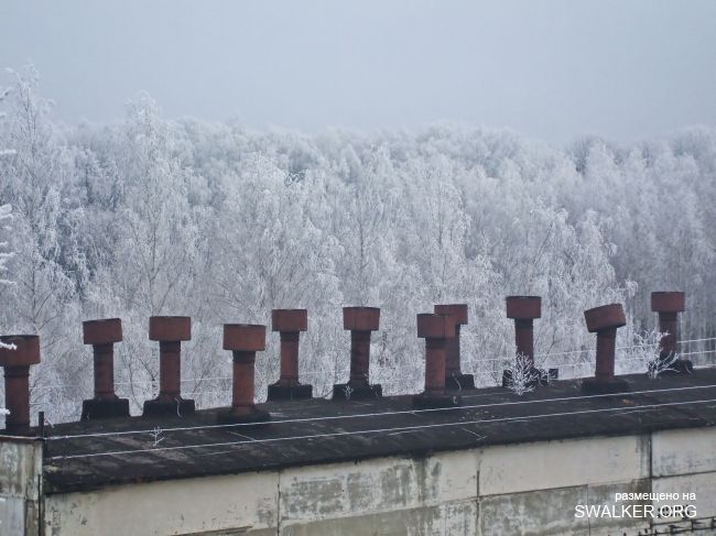 Белая Бельковская