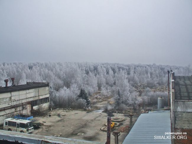 Белая Бельковская