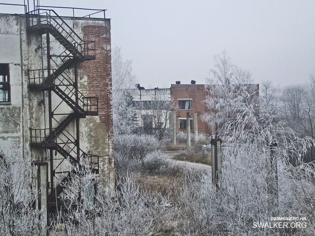 Белая Бельковская