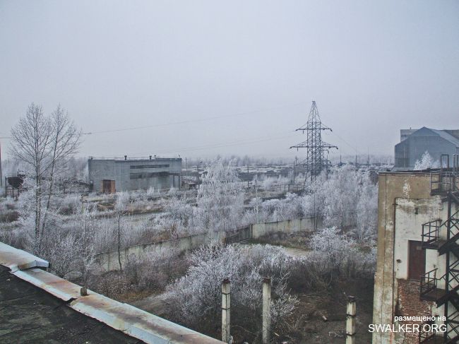 Белая Бельковская