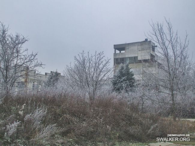 Белая Бельковская