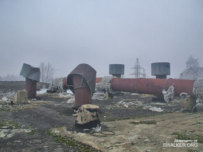 Белая Бельковская