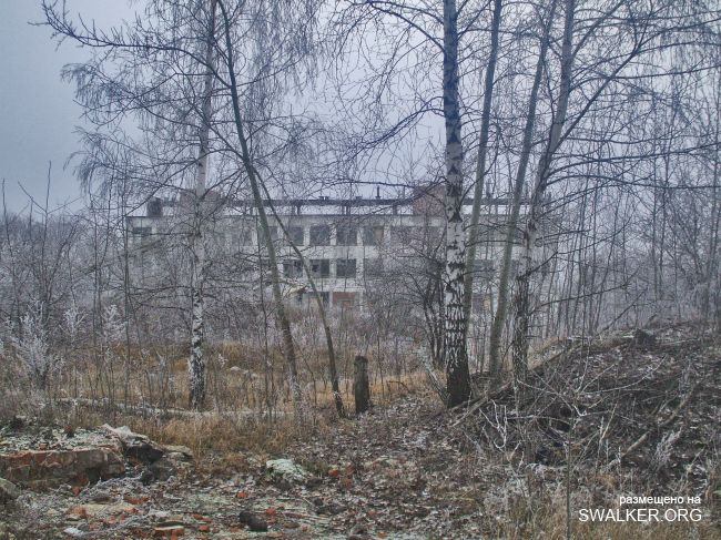 Белая Бельковская