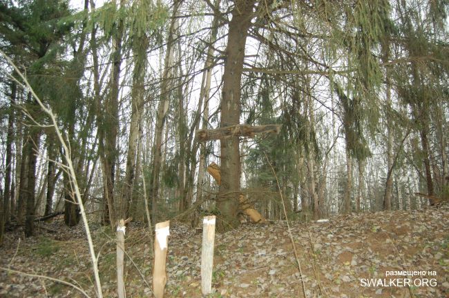 Заброшенный полигон и жилгородок, Московская область