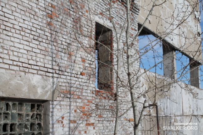 Заброшенный завод ЖБИ, Тамбовская область