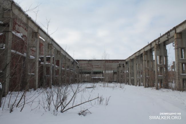 Заброшенный завод ЖБИ, Тамбовская область