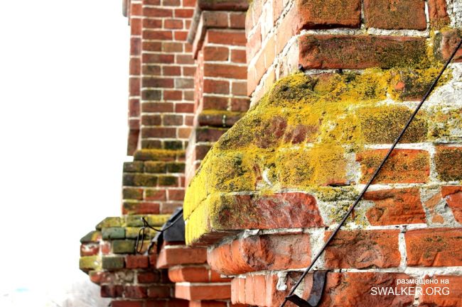 Храм во имя Николая Чудотворца, село Кутьино