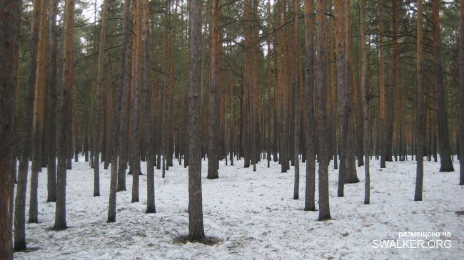 Бывший заброшенный пионер лагерь