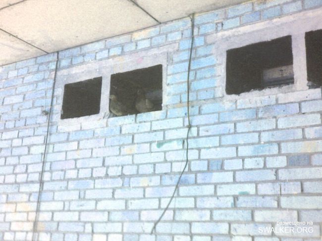 Бывший кино-клуб, Приморье