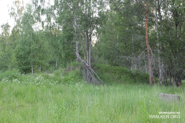 Брошенные позиции С-25 второго кольца ПВО Москвы