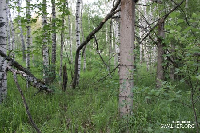 Брошенные позиции С-25 второго кольца ПВО Москвы