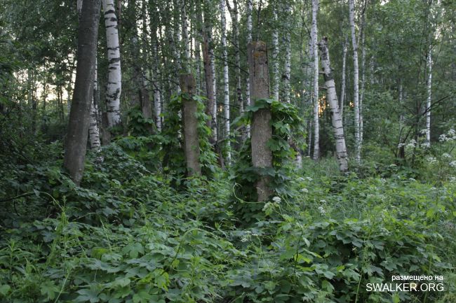 Брошенные позиции С-25 второго кольца ПВО Москвы