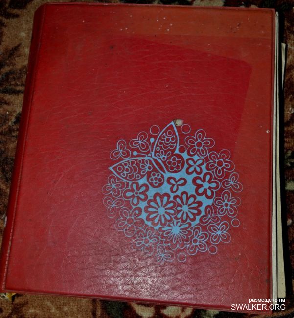 Пионерский лагерь Чайка завода МИЗ, 1986 год