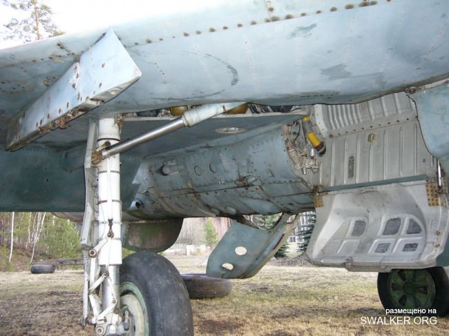 Пионерлагерь Орленок, Челябинская область