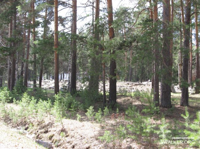 Посёлок Косулино В/Ч 40447, Свердловская область