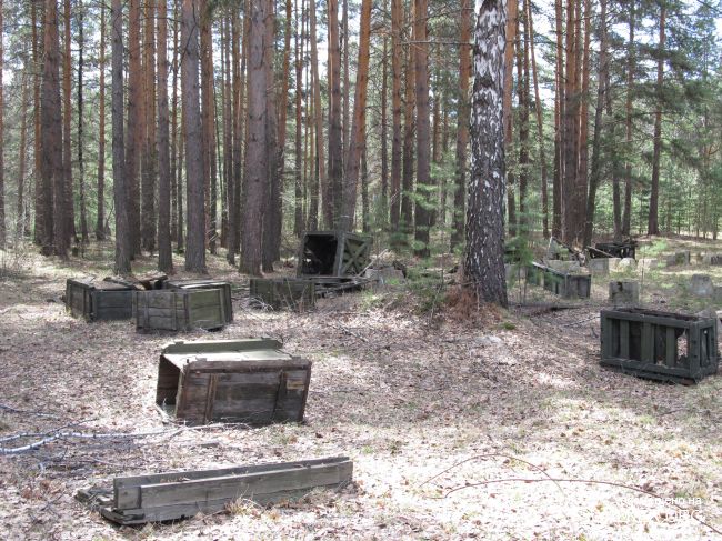 Посёлок Косулино В/Ч 40447, Свердловская область