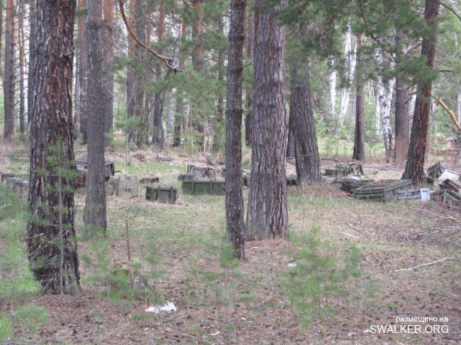 Посёлок Косулино В/Ч 40447, Свердловская область