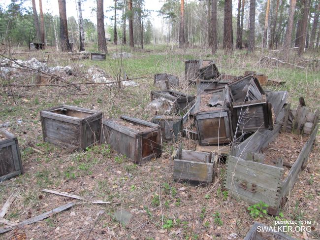 Посёлок Косулино В/Ч 40447, Свердловская область