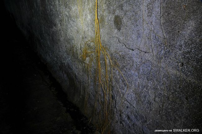 Подземные конвейерные тоннели, Ростовская область