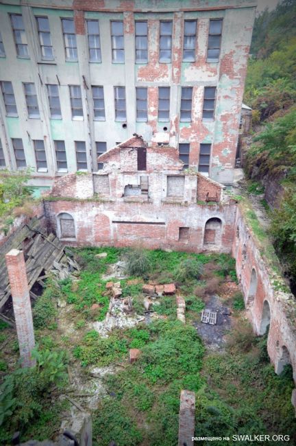 От паровой мельницы до современного завода (История), Ростовская область