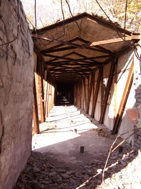 От паровой мельницы до современного завода (История), Ростовская область