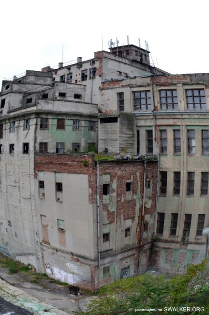 От паровой мельницы до современного завода (История), Ростовская область