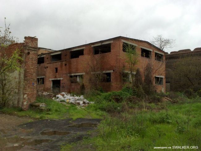 От паровой мельницы до современного завода (История), Ростовская область