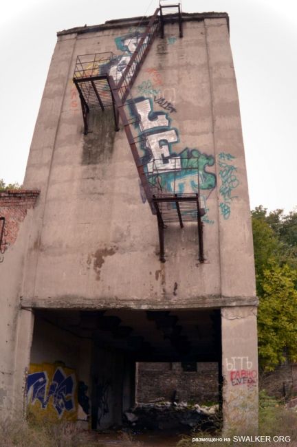 От паровой мельницы до современного завода (История), Ростовская область