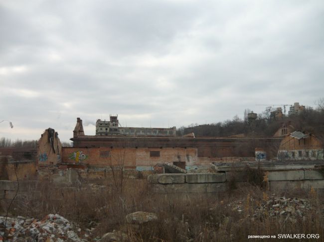 От паровой мельницы до современного завода (История), Ростовская область