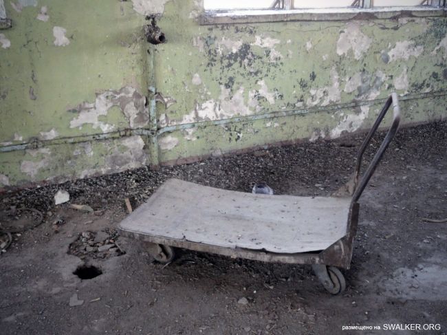 От паровой мельницы до современного завода (История), Ростовская область От паровой мельницы до современного завода (История), Ростовская область