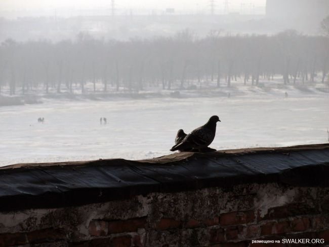 От паровой мельницы до современного завода (История), Ростовская область От паровой мельницы до современного завода (История), Ростовская область