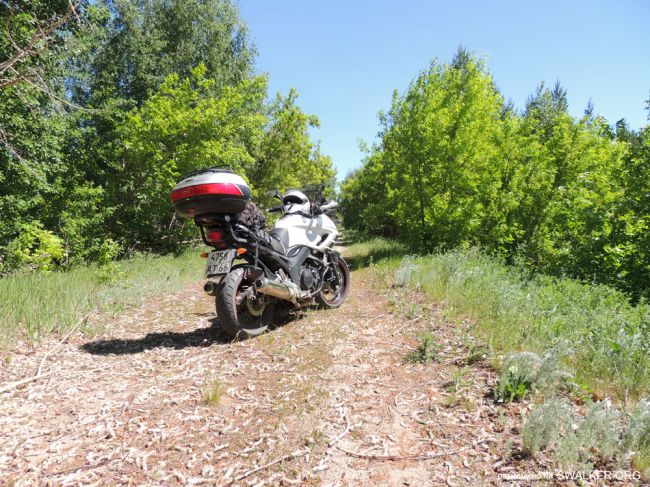 ЗАТО Локомотивный (Карталинский позиционный район) ЗАТО Локомотивный (Карталинский позиционный район)