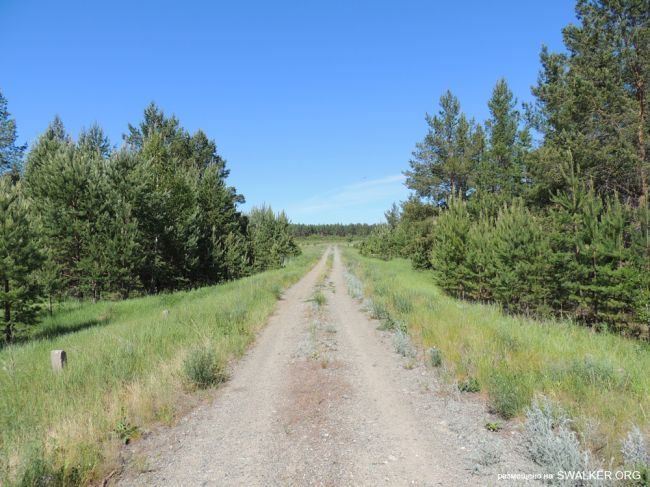 ЗАТО Локомотивный (Карталинский позиционный район) ЗАТО Локомотивный (Карталинский позиционный район)