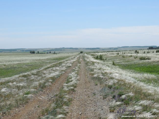 ЗАТО Локомотивный (Карталинский позиционный район) ЗАТО Локомотивный (Карталинский позиционный район)