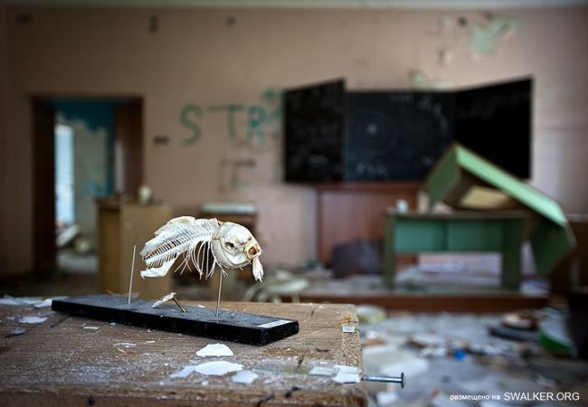 Заброшенная школа, Подмосковье