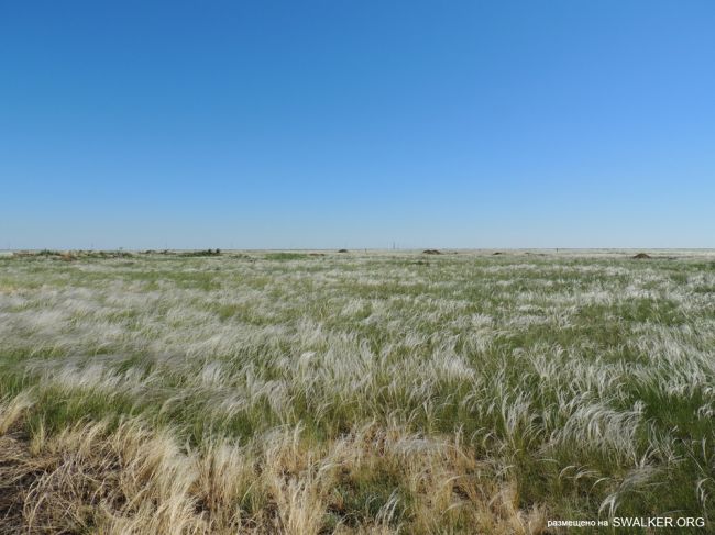 Передающий центр Ромб-1, Державинская Дивизия РВСН