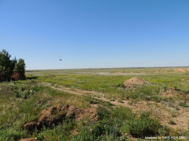 Передающий центр Ромб-1, Державинская Дивизия РВСН