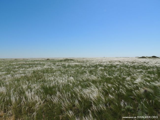 Передающий центр Ромб-1, Державинская Дивизия РВСН