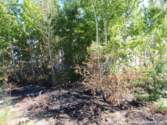 Передающий центр Ромб-1, Державинская Дивизия РВСН